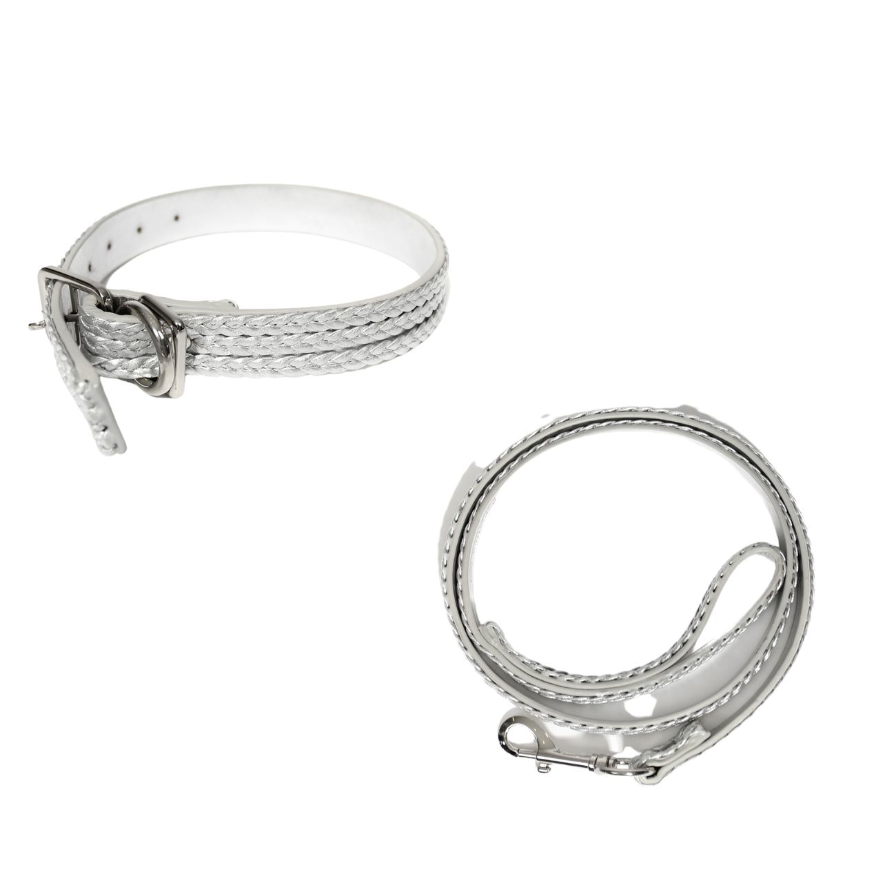 silver collar and leash set