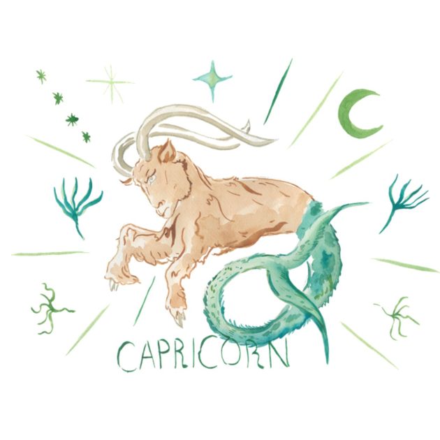 Illustration of Capricorn astrology symbol featuring sea-goat