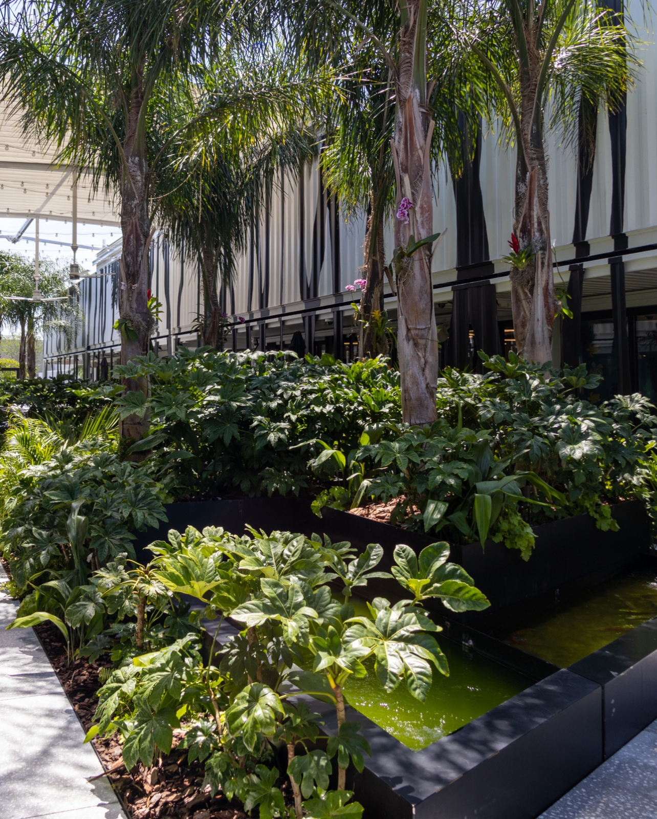 Outdoor Greenery with Koi Pond at the Bal Harbour Shops Access Pop-up