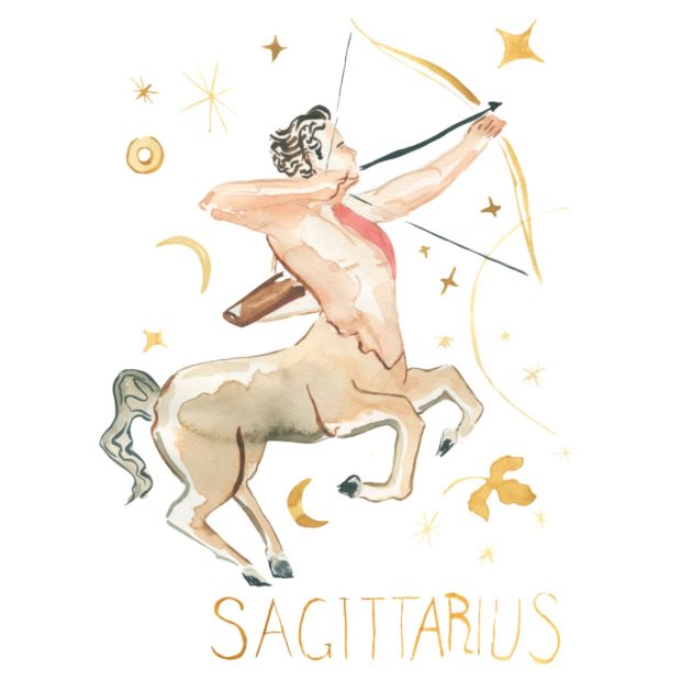 Illustration of Sagittarius astrology symbol featuring an archer who is half man half horse