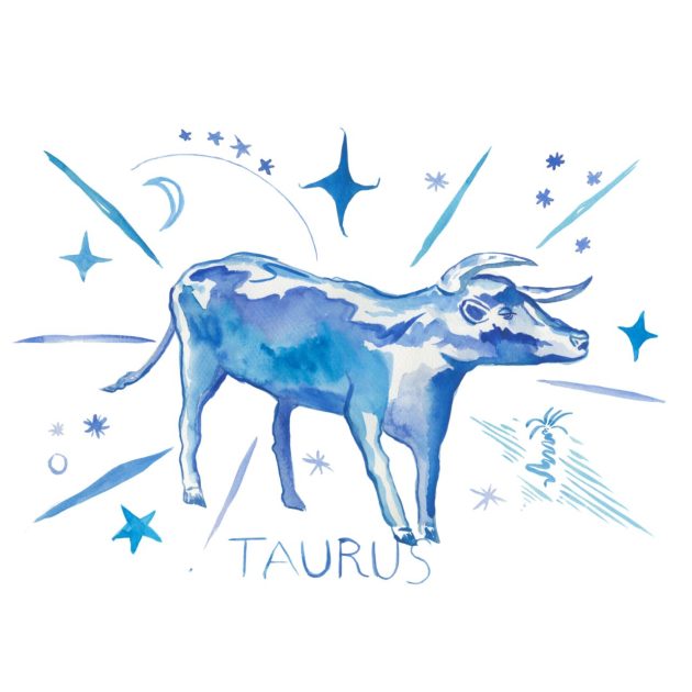 Illustration of Taurus astrology symbol featuring a Cow in blue