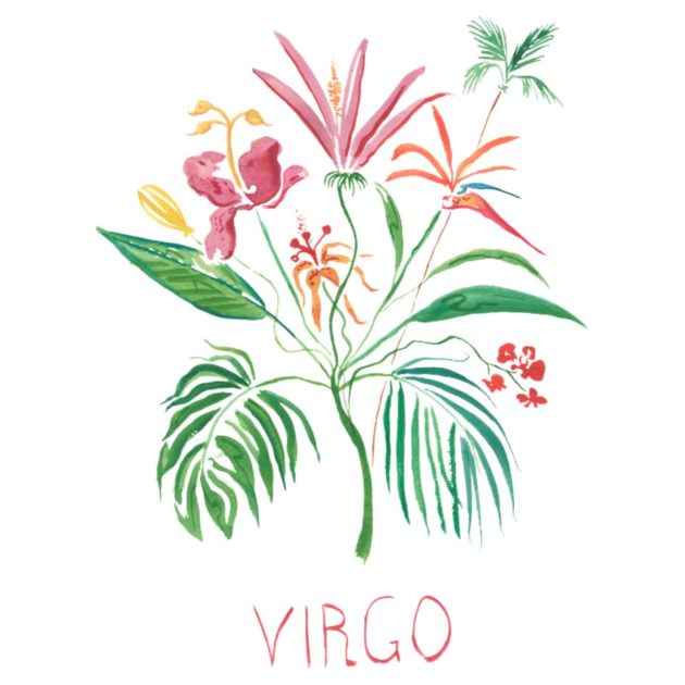 Illustration of Virgo astrology symbol featuring florals
