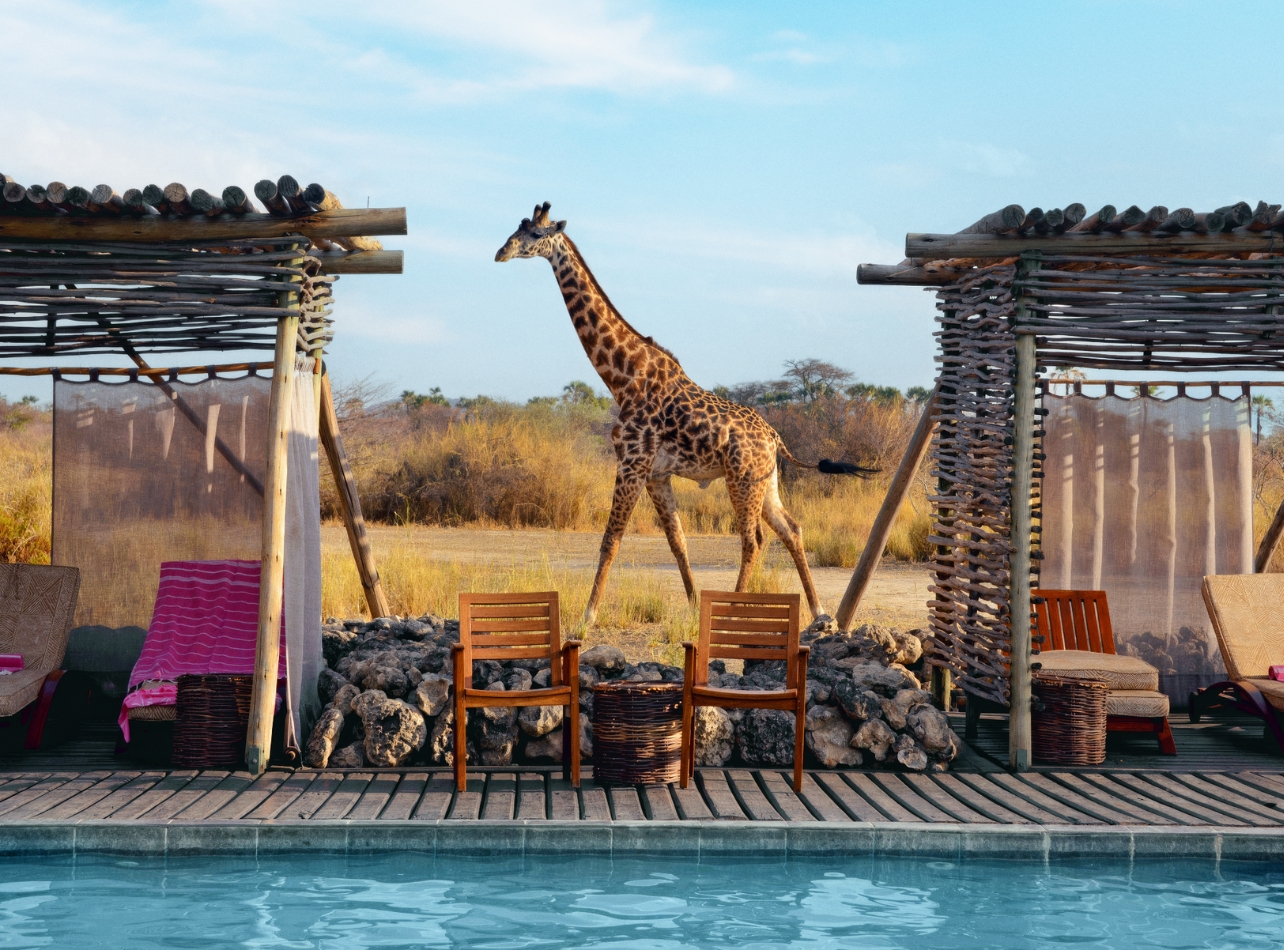 A pool with lounge chairs and a large Giraffe