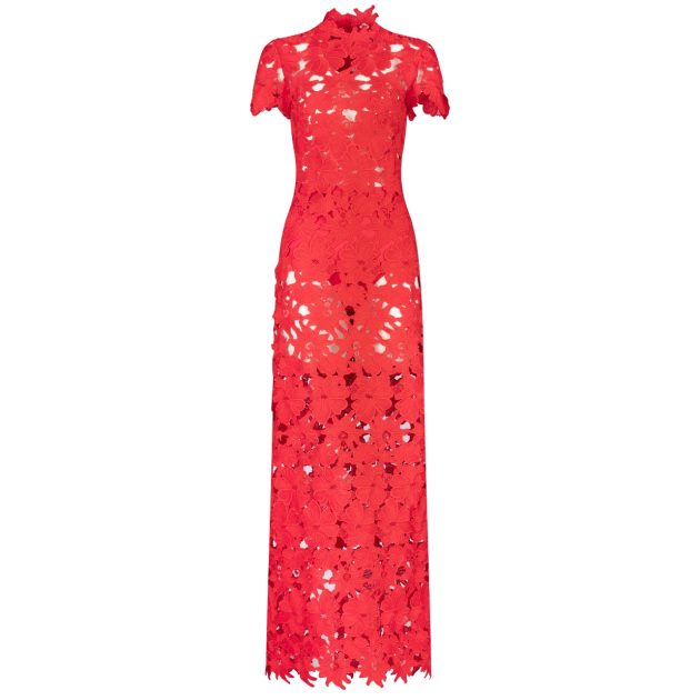 Silvia Tcherassi long lace floral cutout dress