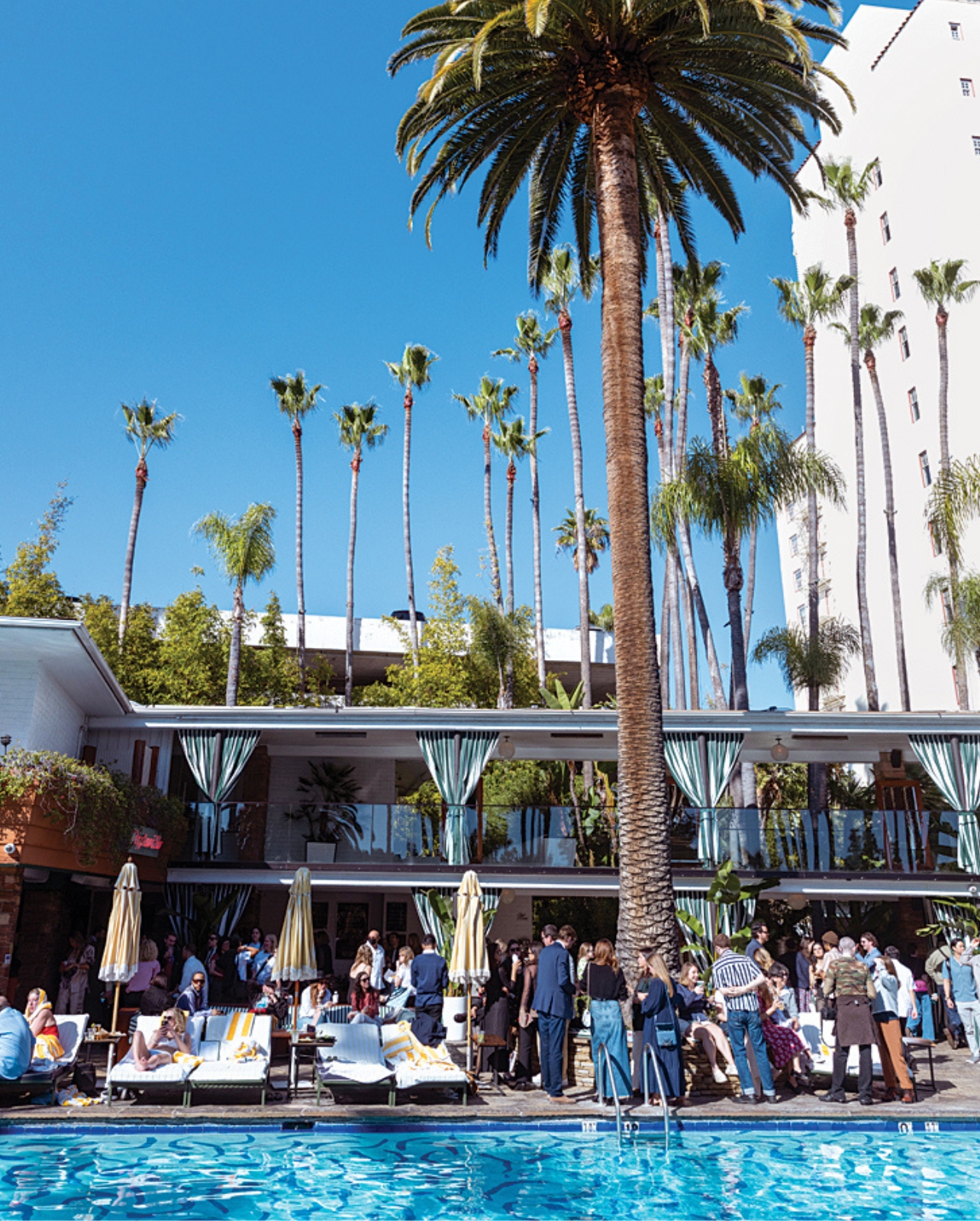 Hollywood Roosevelt hotel pool with plam trees and groups of people