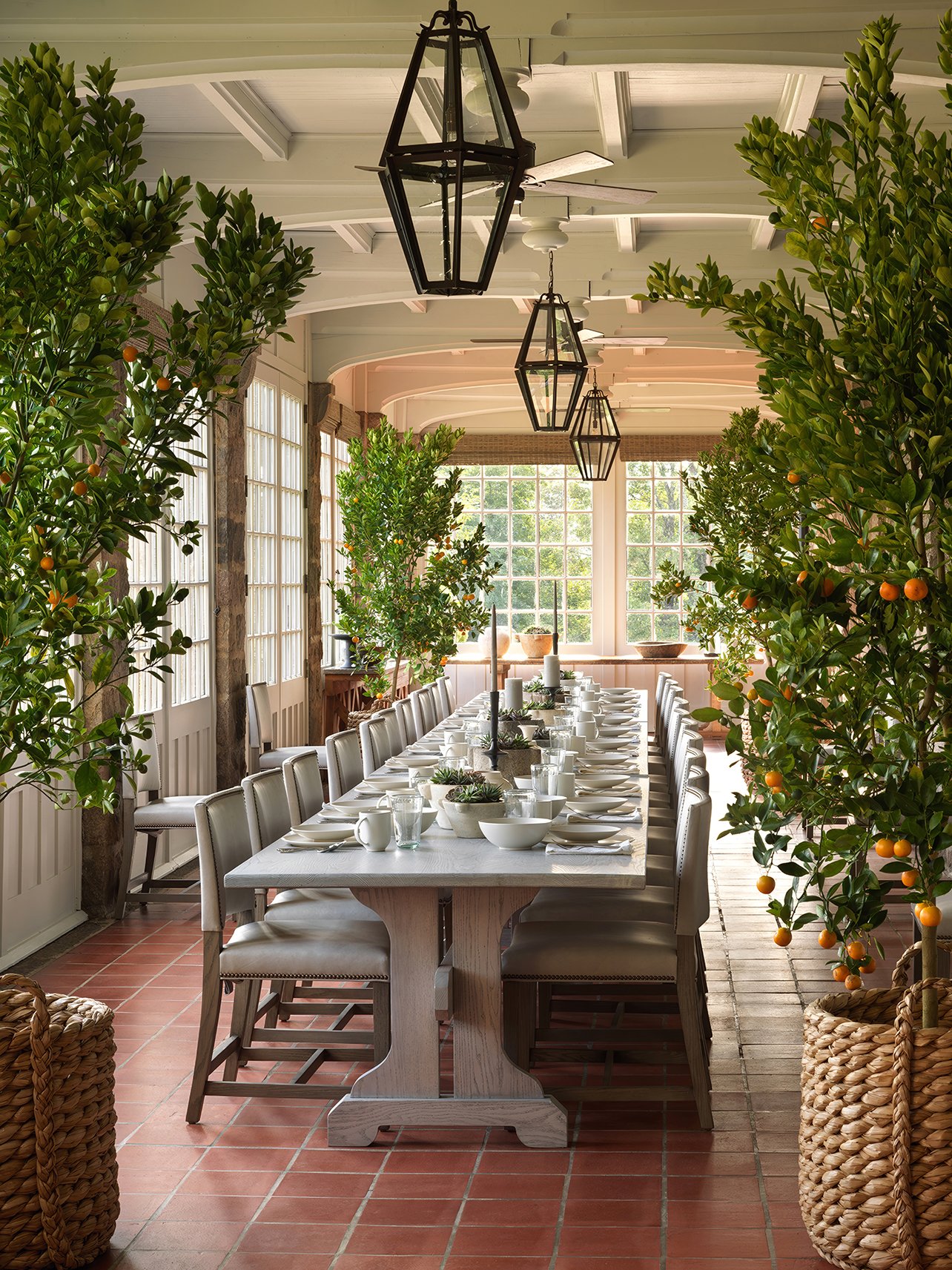 Dining room with long table down the middle surrounded by clementine trees