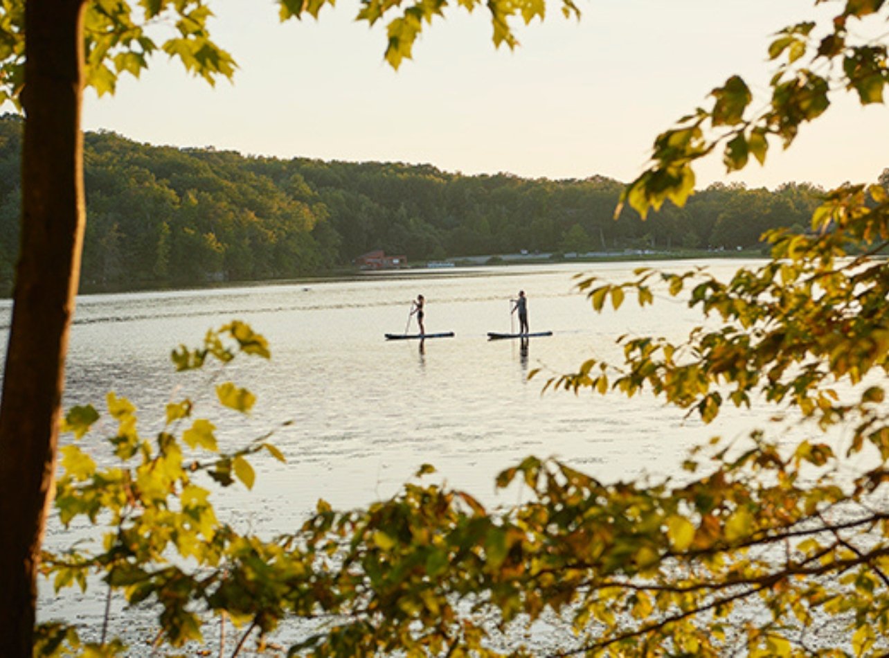 Paddleboarders in the middle of water surrounded by leaves