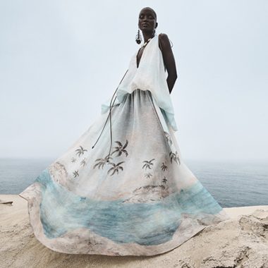 Catch the Zimmermann Wave - Image courtesy of Zimmermann